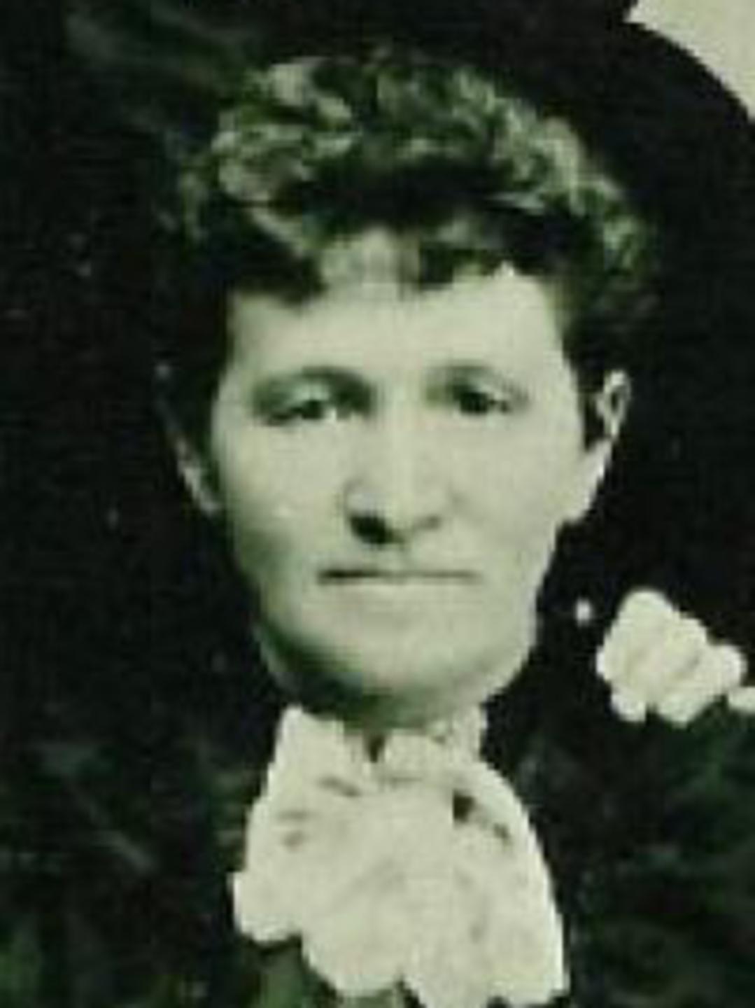 Carrie Hansen (1852 - 1915) Profile